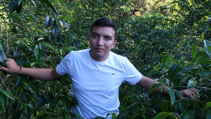 Colombia | El Diviso | Nestor Lasso | Aji Bourbon Tropical Fruit Forward Lush Natural | Signature Series