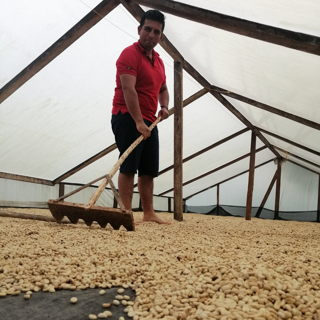 Colombia | La Virgen | Caturra / Castillo Washed (Natural Carbonic) Decaf