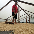 Colombia | La Virgen | Caturra / Castillo Washed (Natural Carbonic) Decaf