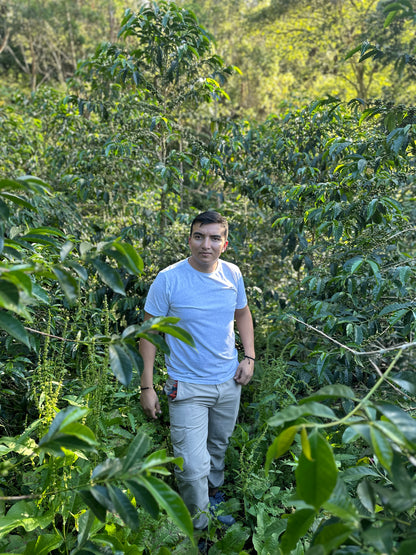 Colombia | El Diviso | Nestor Lasso | Aji Bourbon Tropical Fruit Forward Lush Natural | Signature Series