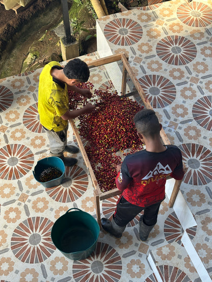 Colombia | El Diviso | Nestor Lasso | Aji Bourbon Tropical Fruit Forward Lush Natural | Signature Series