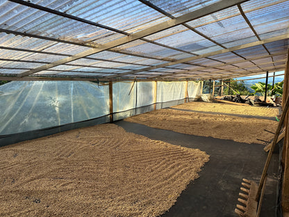 Colombia | El Diviso | Adrian Lasso | Sidra Bourbon Duo Cherry Velvet | Signature Series