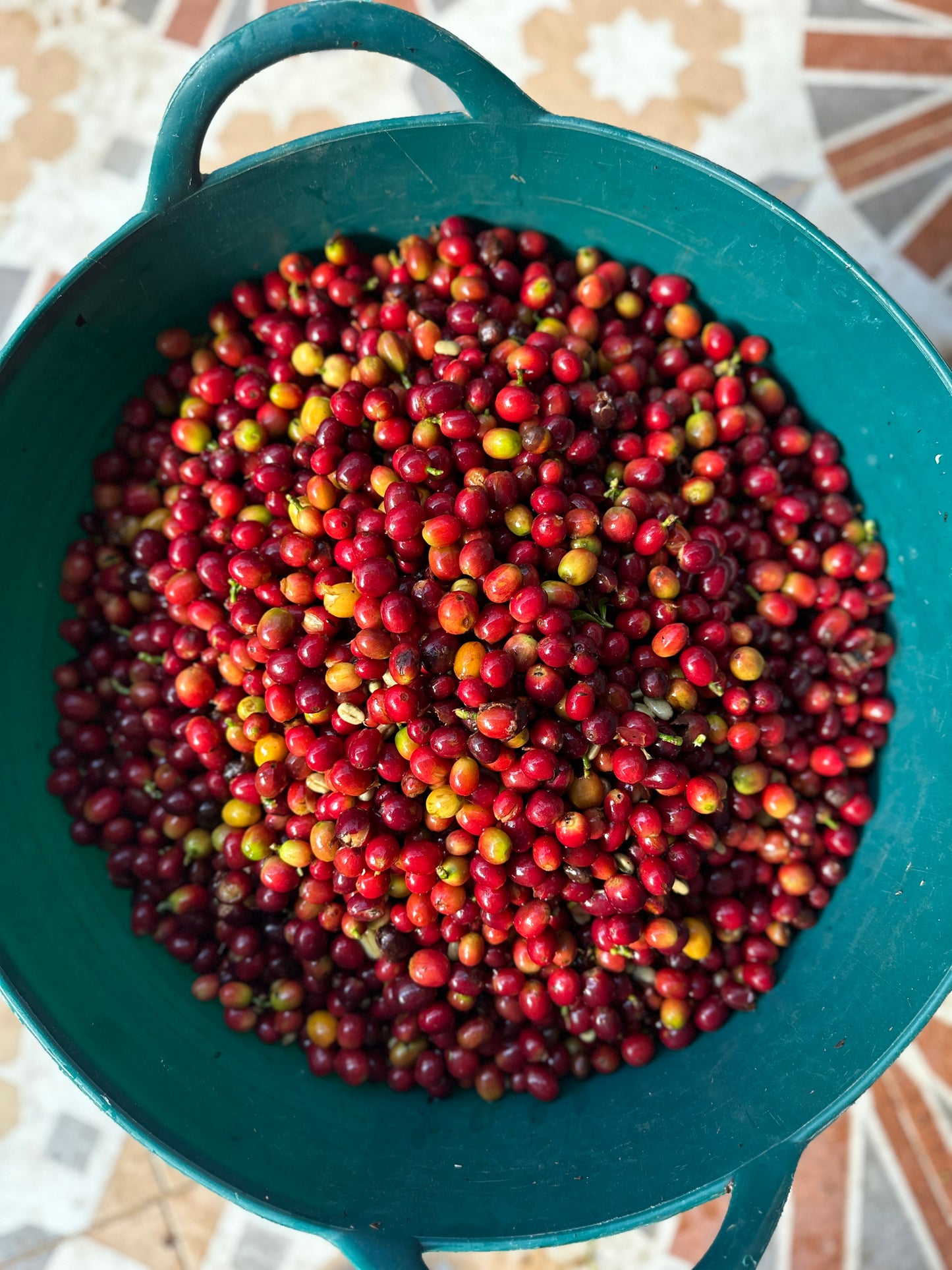 Colombia | El Diviso | Nestor Lasso | Aji Bourbon Tropical Fruit Forward Lush Natural | Signature Series