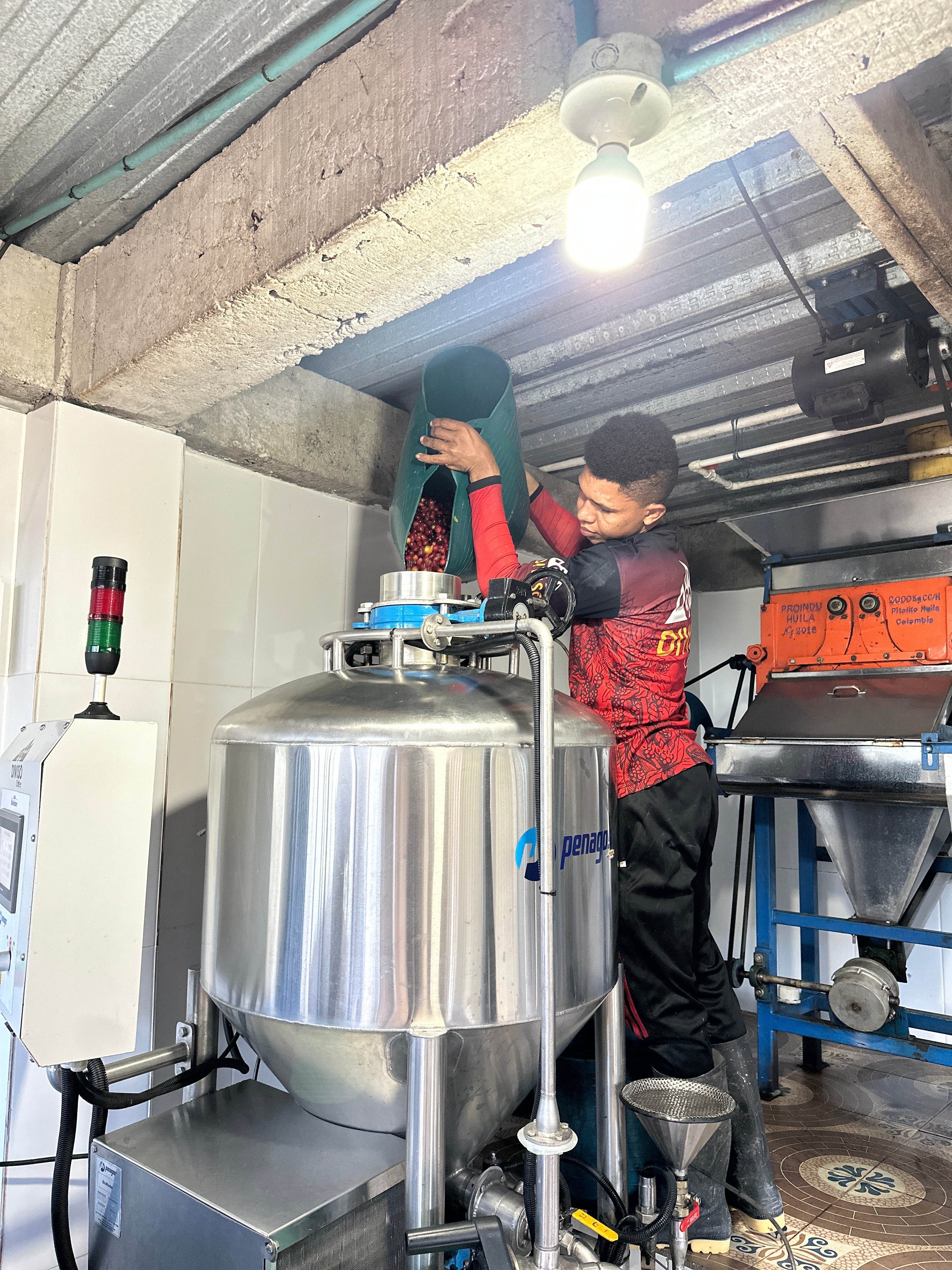 Colombia | El Diviso | Nestor Lasso | Ombligon Natural (Floral Symphony) | Signature Series