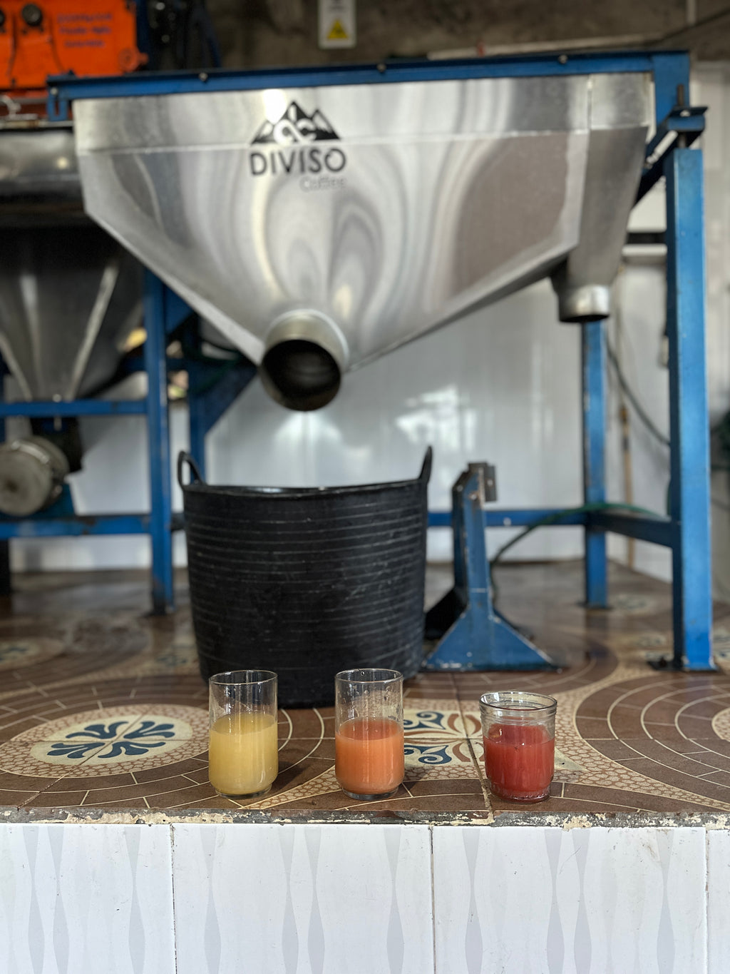 Colombia | El Diviso | Nestor Lasso | Ombligon Natural (Floral Symphony) | Signature Series