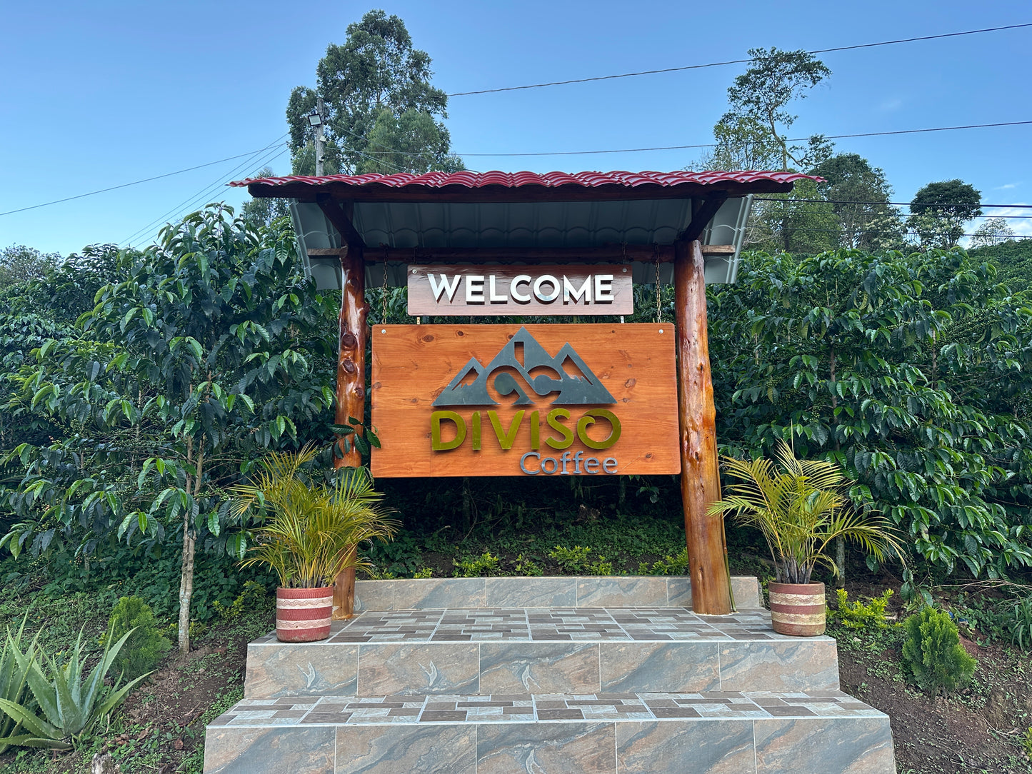 Colombia | El Diviso | Nestor Lasso | Aji Bourbon Tropical Fruit Forward Lush Natural | Signature Series