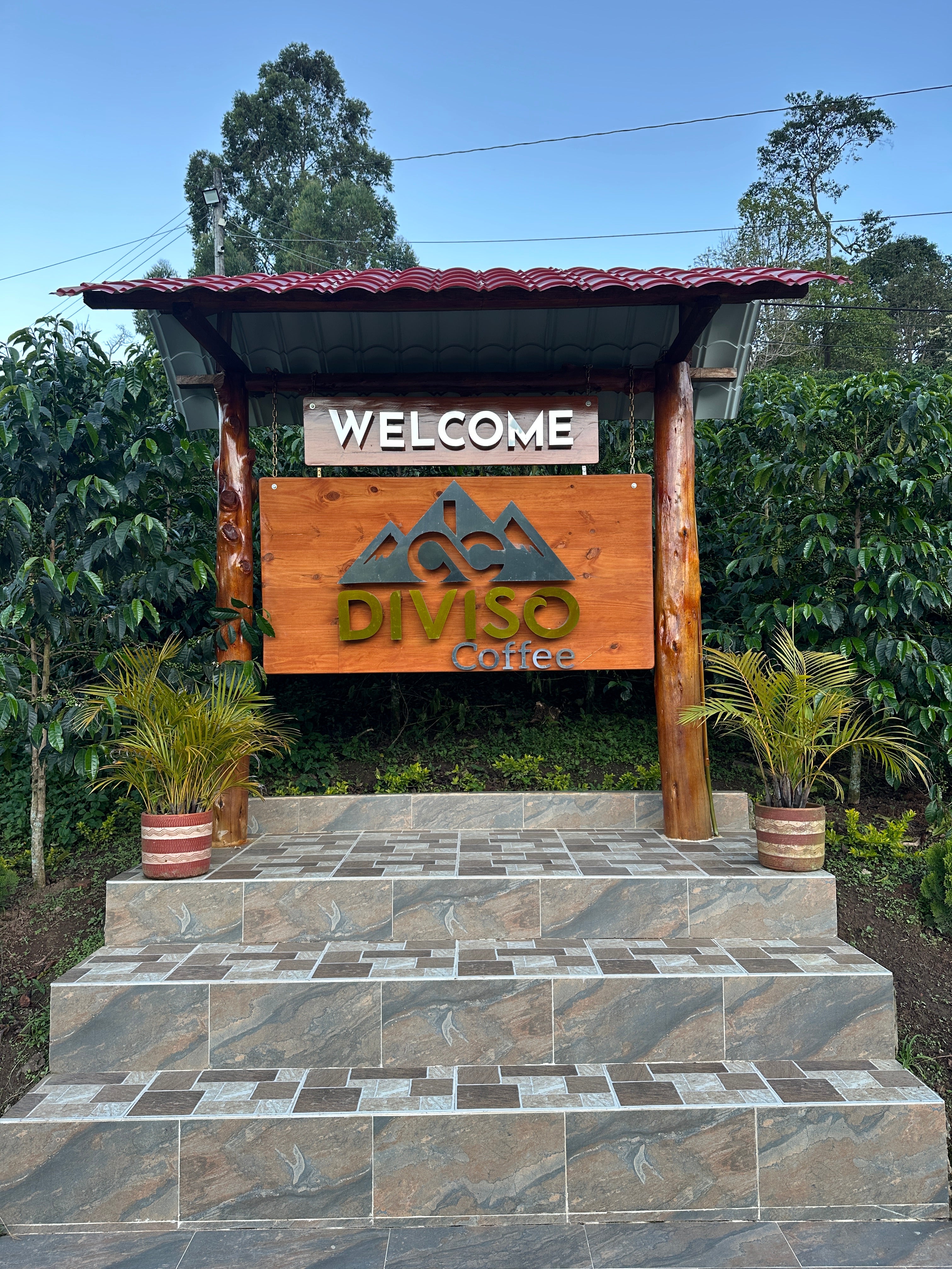 Colombia | El Diviso | Nestor Lasso | Ombligon Natural (Floral Symphony) | Signature Series