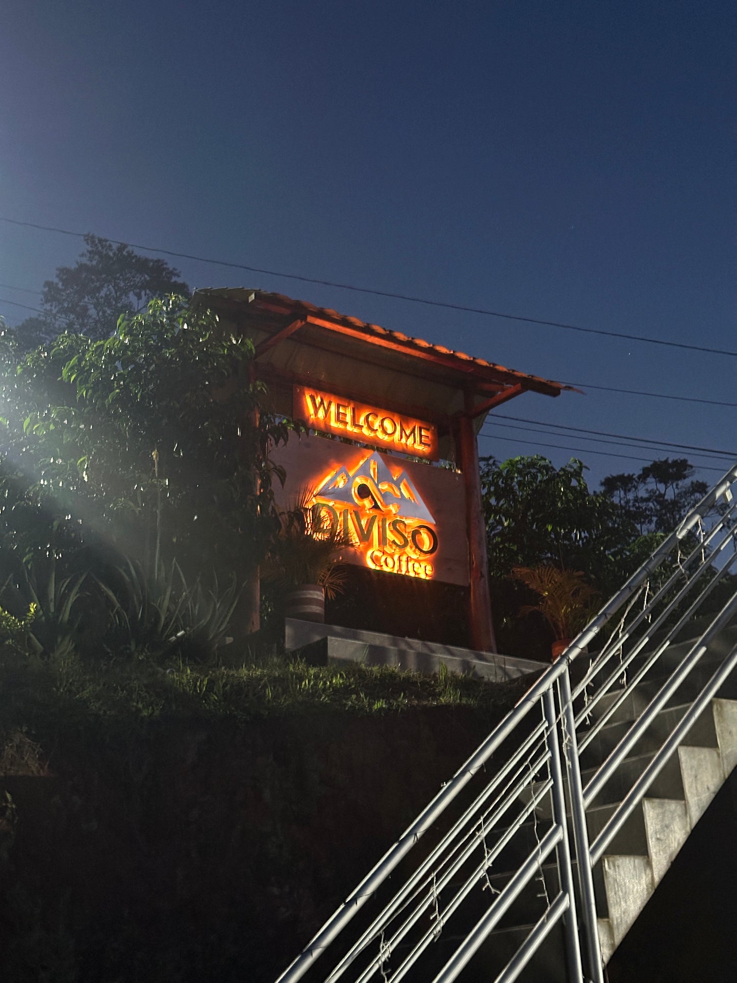 Colombia | El Diviso | Nestor Lasso | Aji Bourbon Tropical Fruit Forward Lush Natural | Signature Series