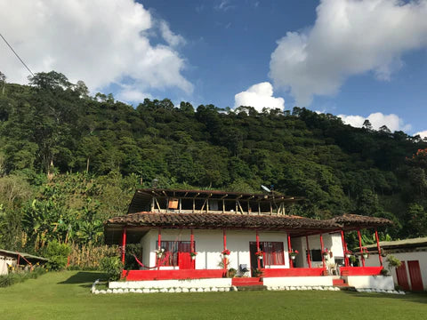 Colombia | La Divisa | Diofanor Ruiz | Papayo Natural