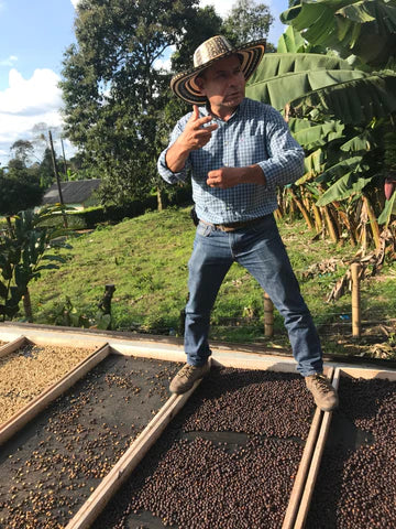 Colombia | La Divisa | Diofanor Ruiz | Papayo Natural