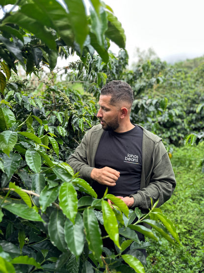 Colombia | Zarza | Jonathan Gasca | Pacamara Tropical Fruit Forward Lush Natural | Signature Series