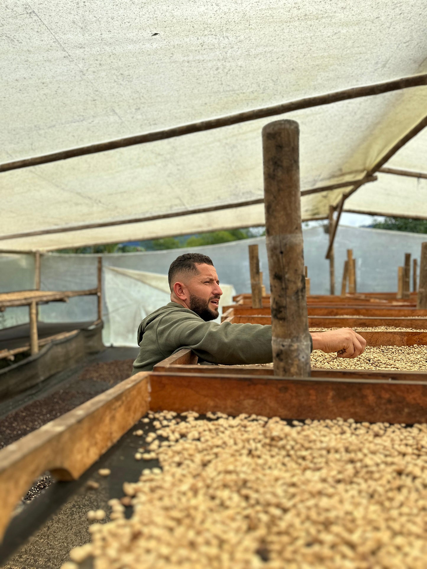 Colombia | Zarza | Jonathan Gasca | Pacamara Tropical Fruit Forward Lush Natural | Signature Series