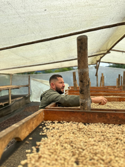 Colombia | Zarza | Jonathan Gasca | Pacamara Tropical Fruit Forward Lush Natural | Signature Series