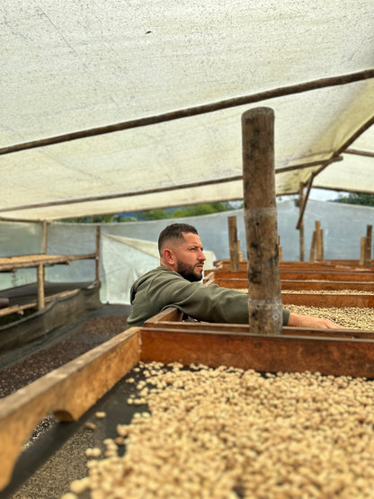 Colombia | Zarza | Jonathan Gasca | Pacamara Tropical Fruit Forward Lush Natural | Signature Series