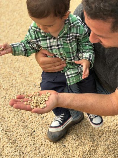 Colombia | Zarza | Jonathan Gasca | Pacamara Tropical Fruit Forward Lush Natural | Signature Series