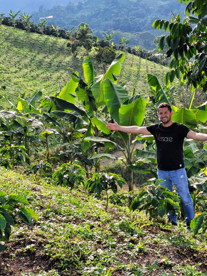 Colombia | Zarza | Jonathan Gasca | Pacamara Tropical Fruit Forward Lush Natural | Signature Series