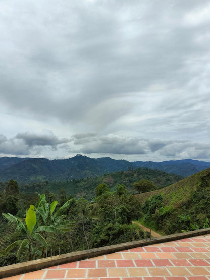 Colombia | Zarza | Jonathan Gasca | Pacamara Tropical Fruit Forward Lush Natural | Signature Series