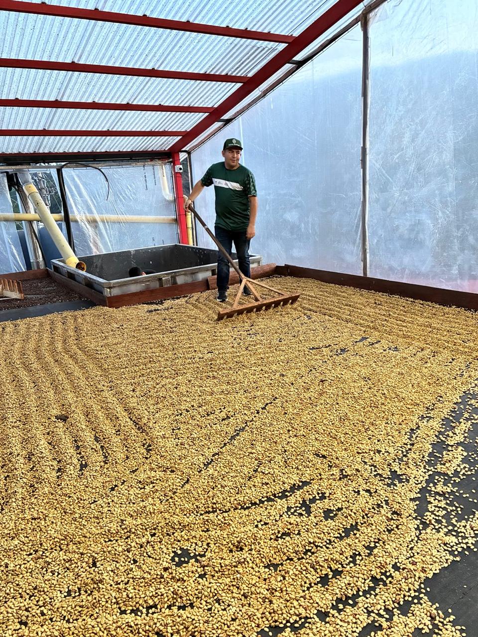 Colombia | Las Flores | Jhoan Vergara | Java Hydrohoney (Duo Cherry Velvet) | Signature Series