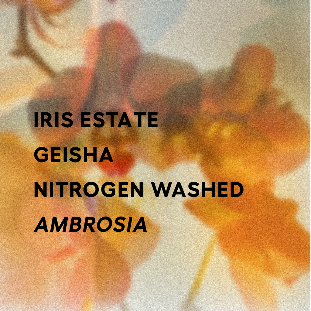 Panama | Iris Estate | Jamison Savage | Gesha Nitrogen Washed AMBROSIA 2025 | Signature Series