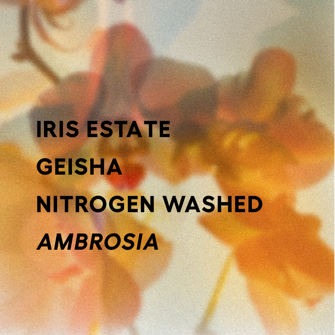 Panama | Iris Estate | Jamison Savage | Geisha Nitrogen Washed AMBROSIA 2025 | Signature Series