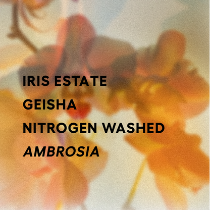 Panama | Iris Estate | Jamison Savage | Geisha Nitrogen Washed AMBROSIA 2025 | Signature Series