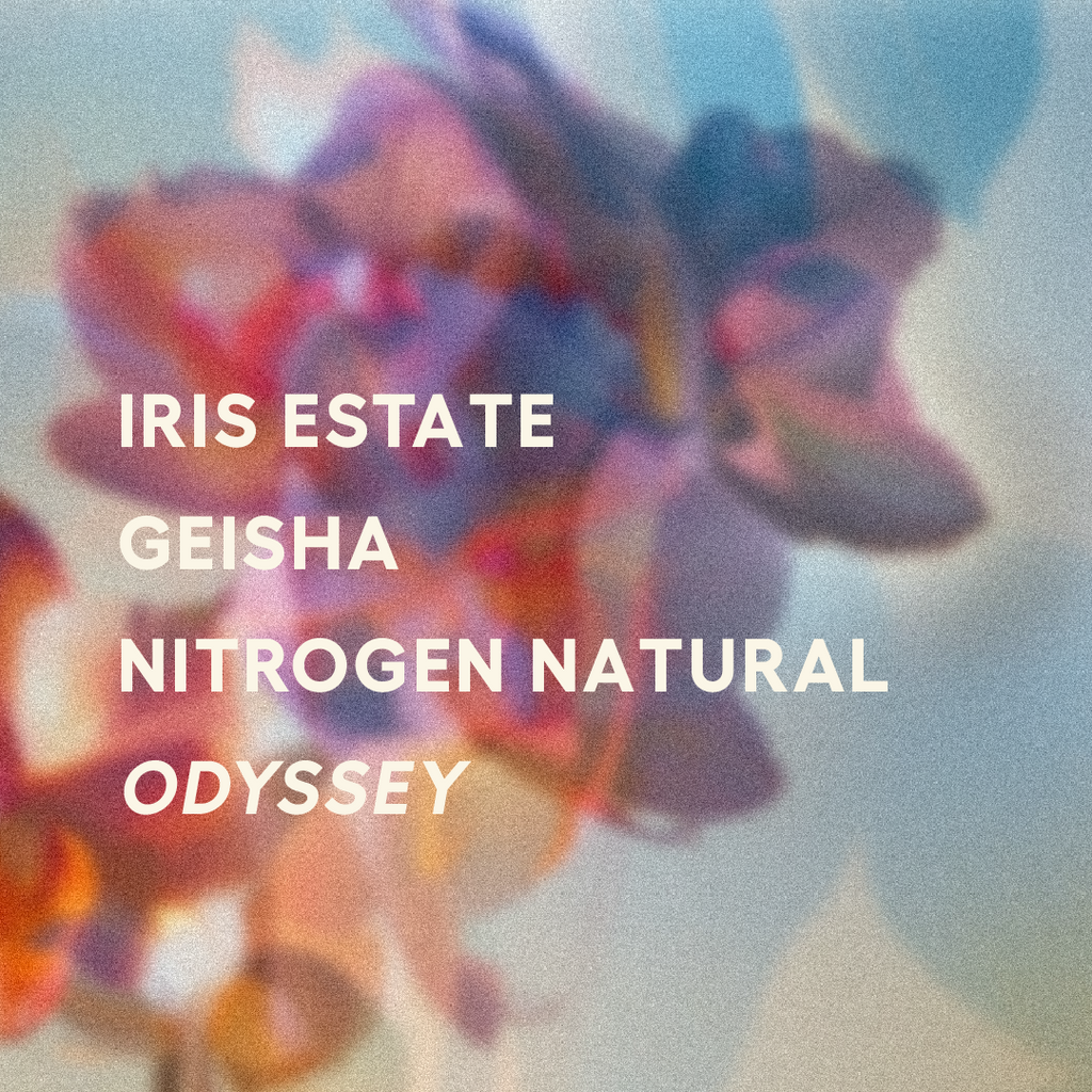 Panama | Iris Estate | Jamison Savage | Gesha Nitrogen Natural ODYSSEY 2025 | Signature Series