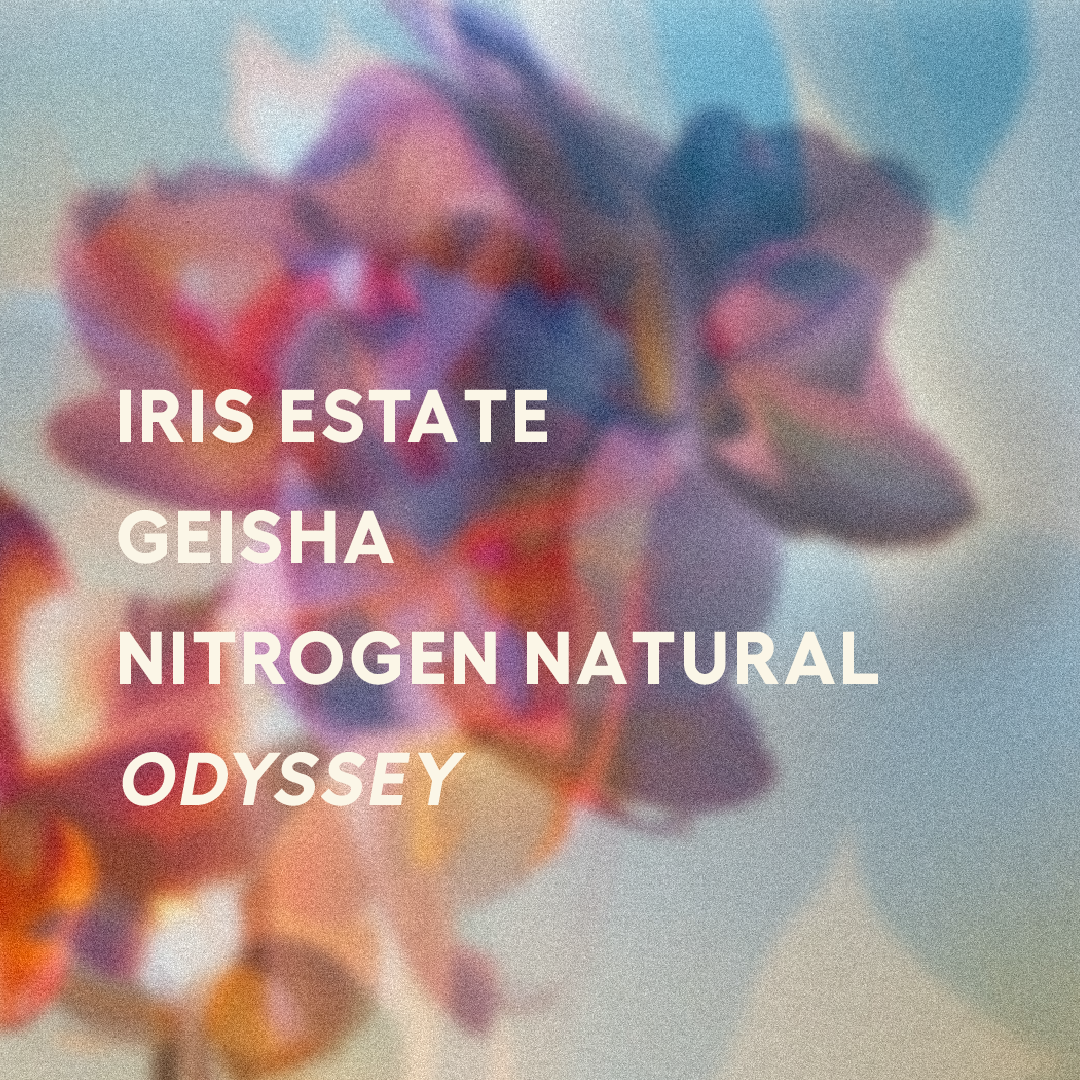 Panama | Iris Estate | Jamison Savage | Geisha Nitrogen Natural ODYSSEY 2025 | Signature Series