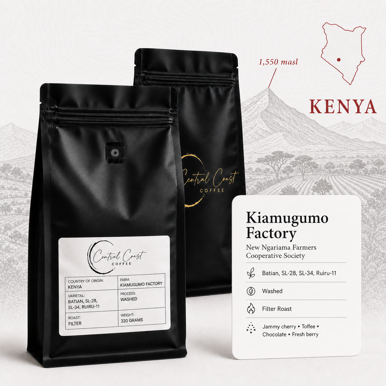 Kenya | Kiamugumo | Batian, SL28, SL34, Ruiru 11 Washed AA 320g bag