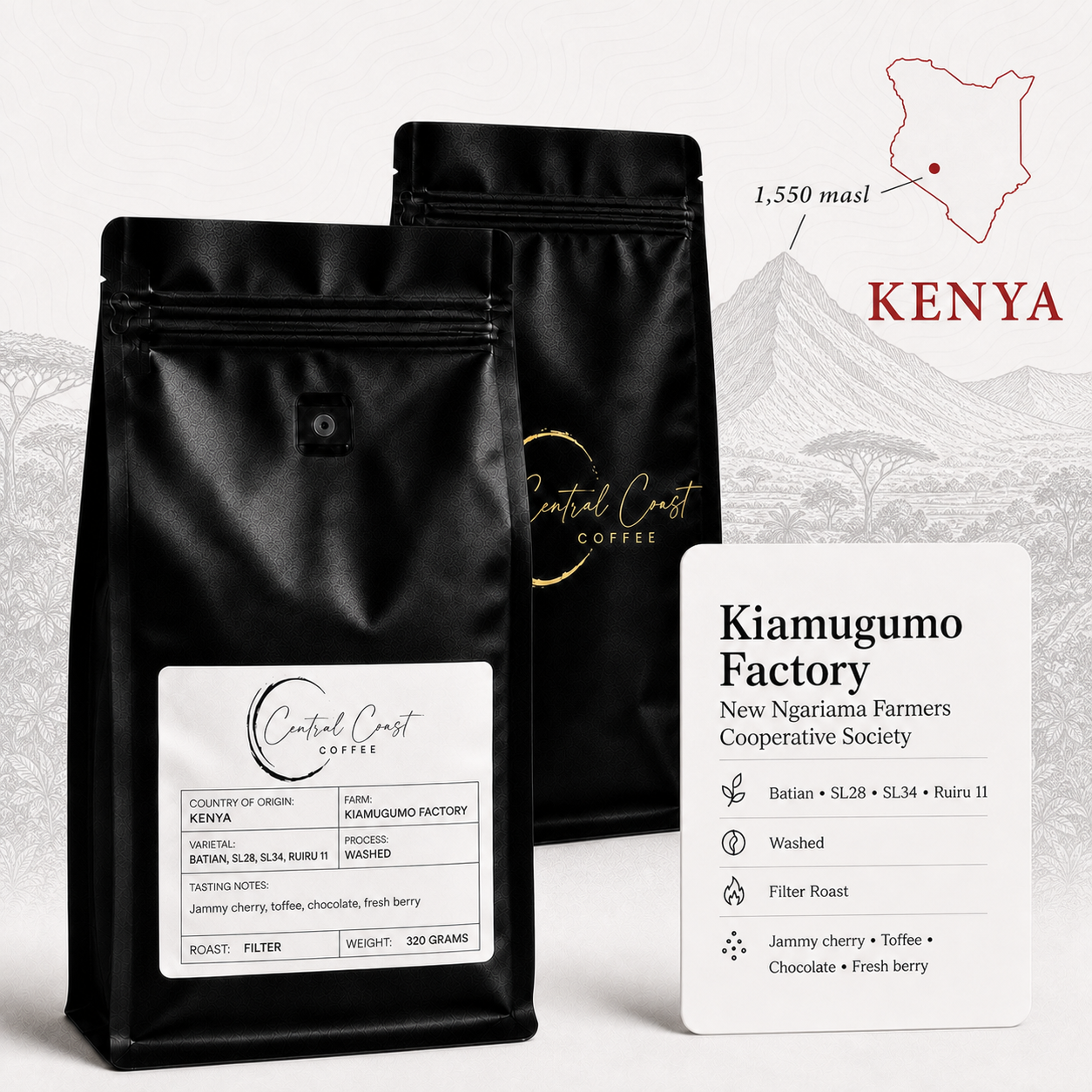 Kenya | Kiamugumo | Batian, SL28, SL34, Ruiru 11 Washed AA 320g bag