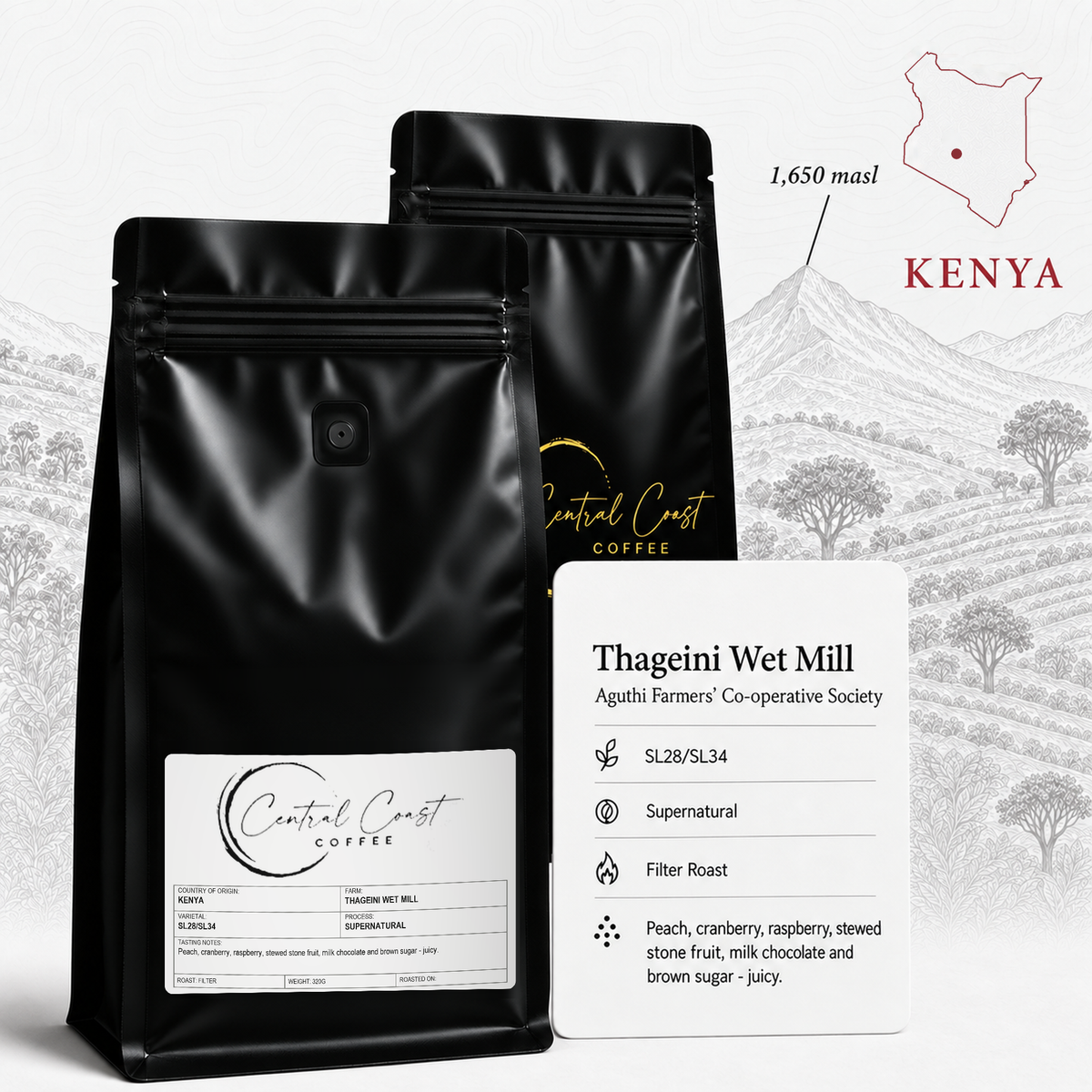 Kenya Thageini Supernatural 320g filter roast bag