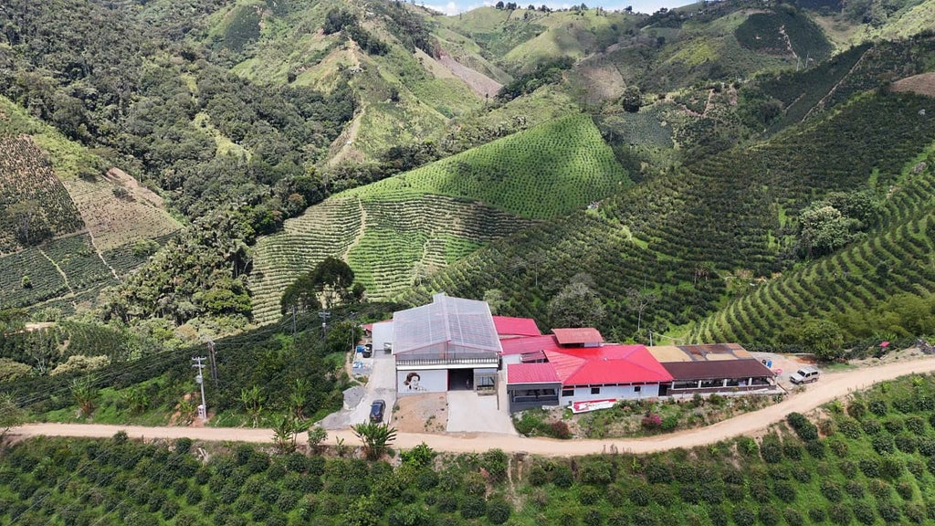 Colombia | Las Flores | Jhoan Vergara | Java Hydrohoney (Duo Cherry Velvet) | Signature Series