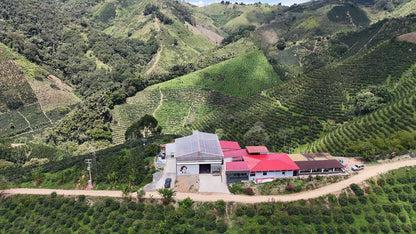 Colombia | Las Flores | Jhoan Vergara | Java Fruit Forward Berry Ensemble Natural | Signature Series