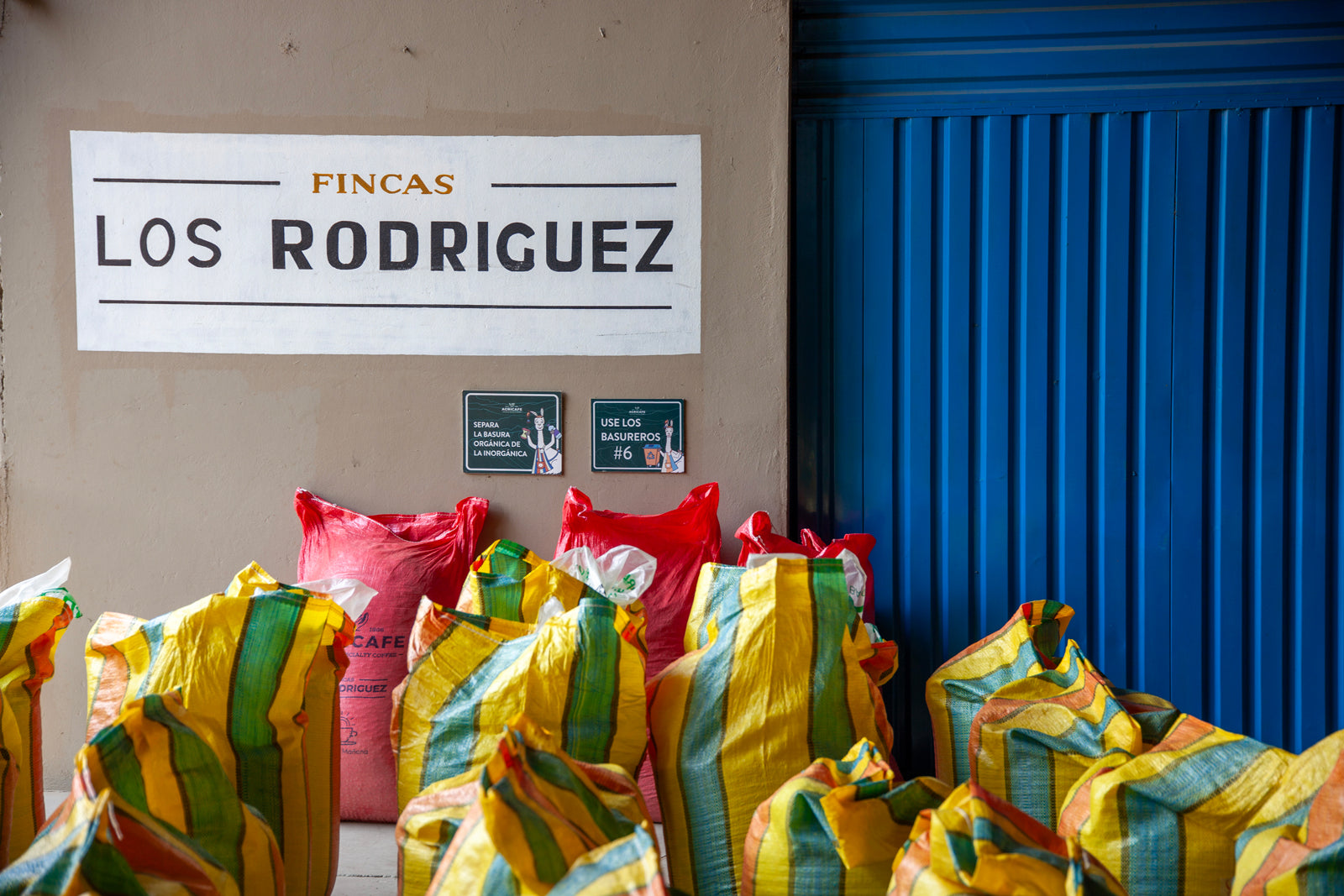 Bolivia | Las Alasitas | Gesha Coco Natural | Signature Series