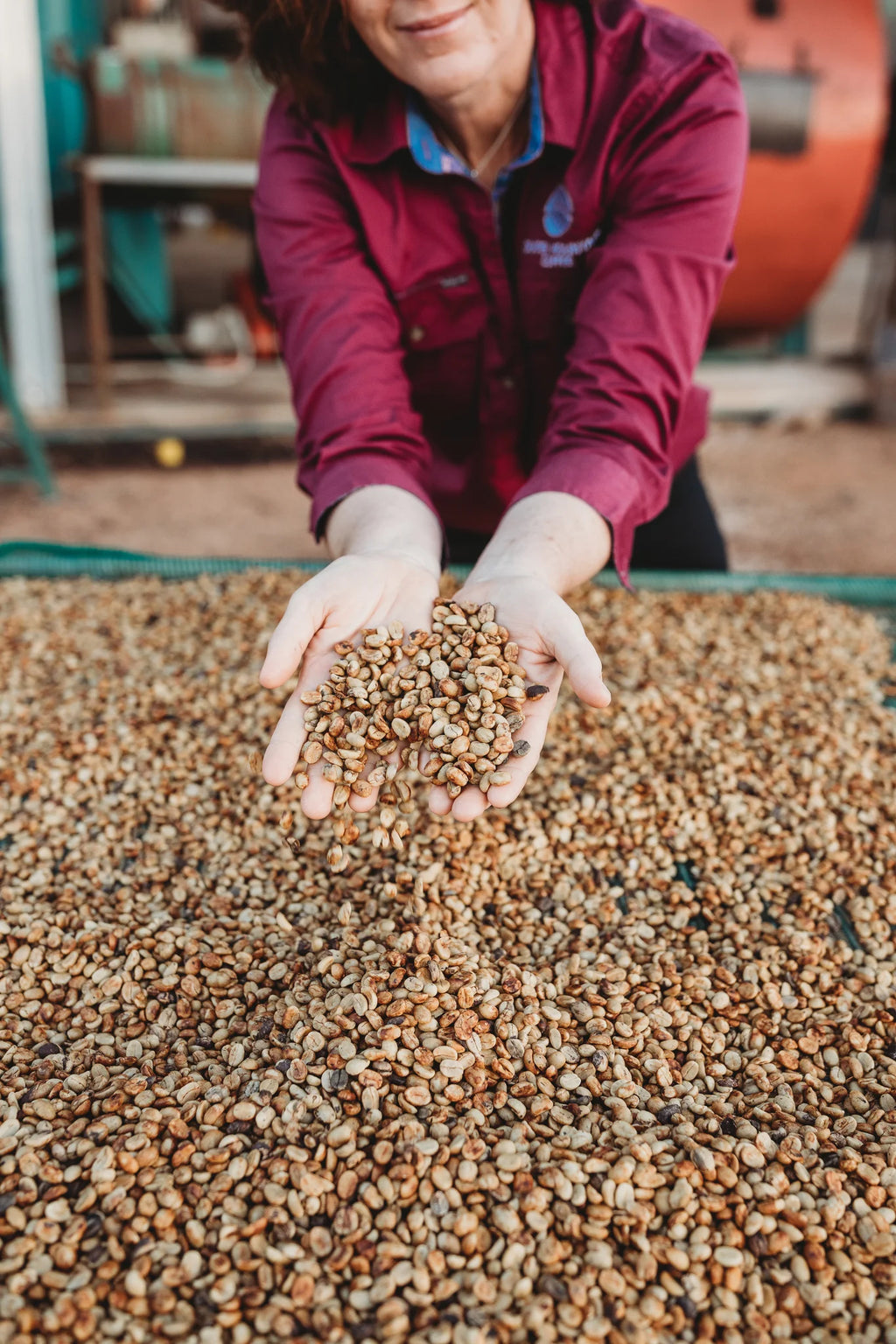 Australia | Crater Mountain | Lucy Stocker | Catuai Rojo Specialty Lot