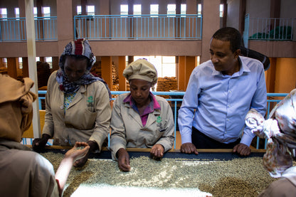 Ethiopia | Huke | Kurume & Wolisho Natural