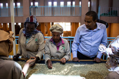 Ethiopia | Yirgacheffe Huke | Kurume & Wolisho Natural Premium Grade 1