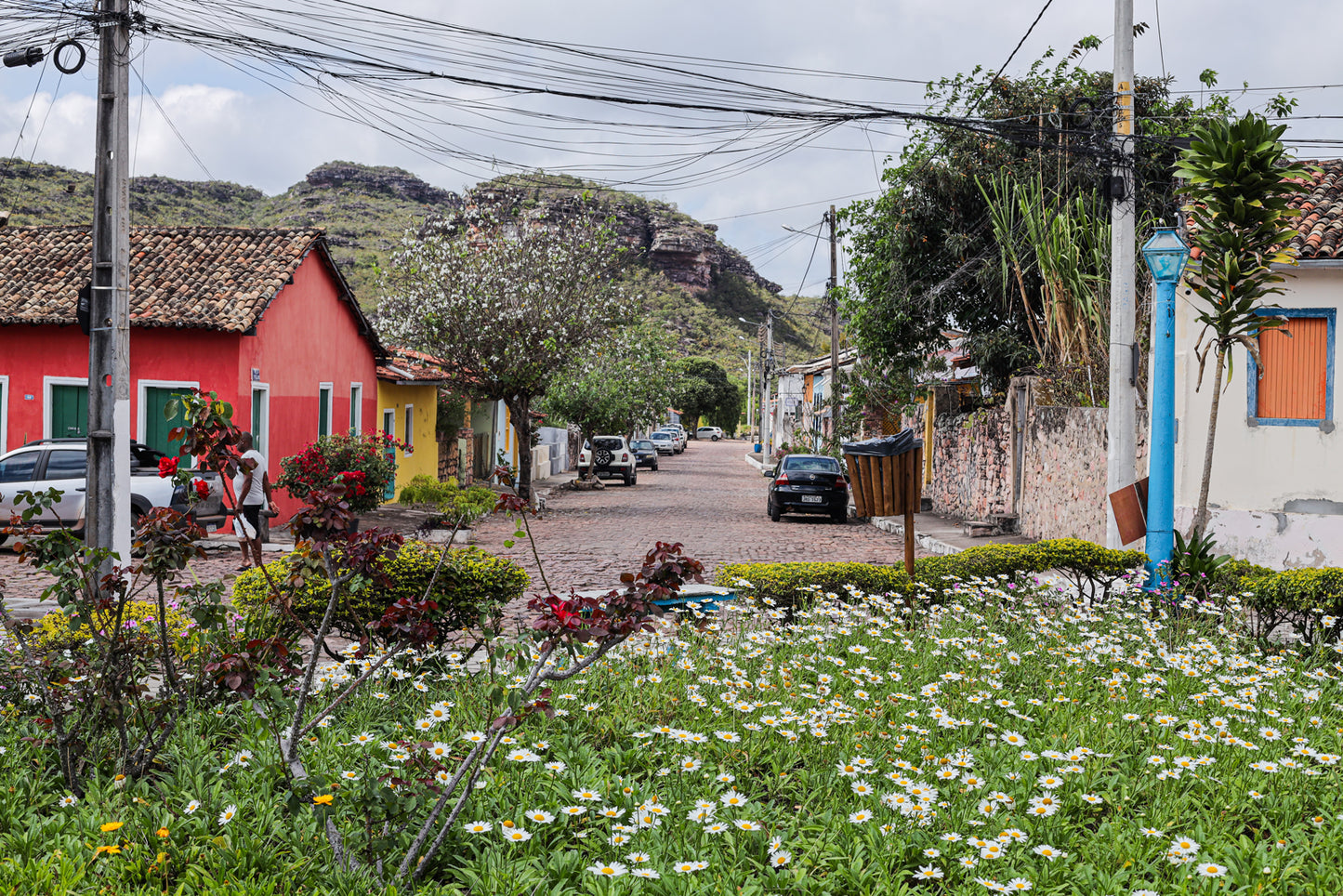 Brazil | Fazenda Progresso | Catuaí / Topazio Natural