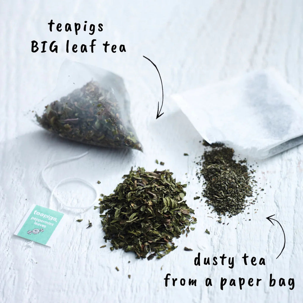 PEPPERMINT_WHOLE_V_DUST_1200x_e2ff8e17-fbac-45c2-8aac-2c2ef9cd8daf.webp