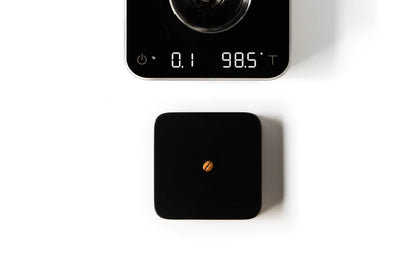 Acaia Umbra Lunar