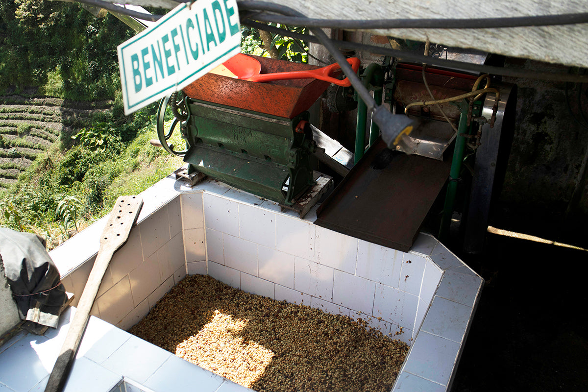 Colombia | El Diamante | Neftali Castro | Pink Bourbon Washed