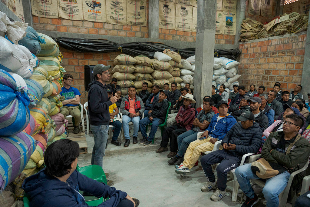 Colombia | Pillimue Family | Caturra / Colombia Washed EA Decaf