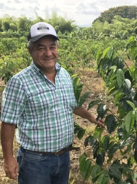 Colombia | Santa Monica | Jairo Arcila | Castillo Castillo Honey Watermelon Co-Ferment