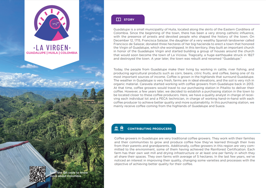 Colombia | La Virgen | Caturra / Castillo Washed (Swiss Water) Decaf