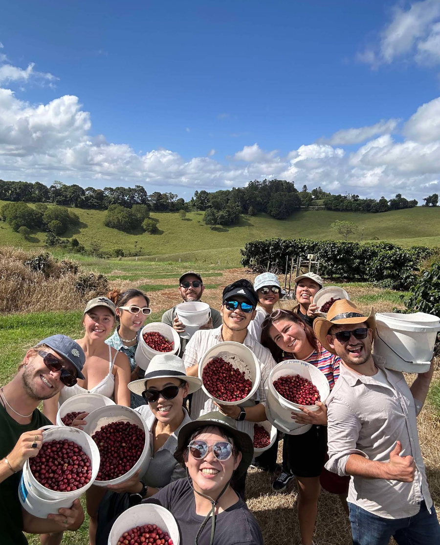 Australia | Crater Mountain | Lucy Stocker | Catuai Rojo Specialty Lot