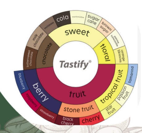 Panama | Janson Estate | Gesha Natural Lot 797 | Signature Series