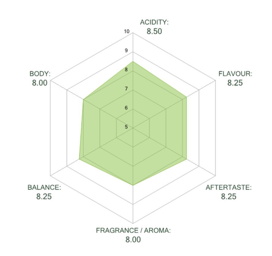 Colombia | Finca Las Margaritas | Sudan Rume Washed