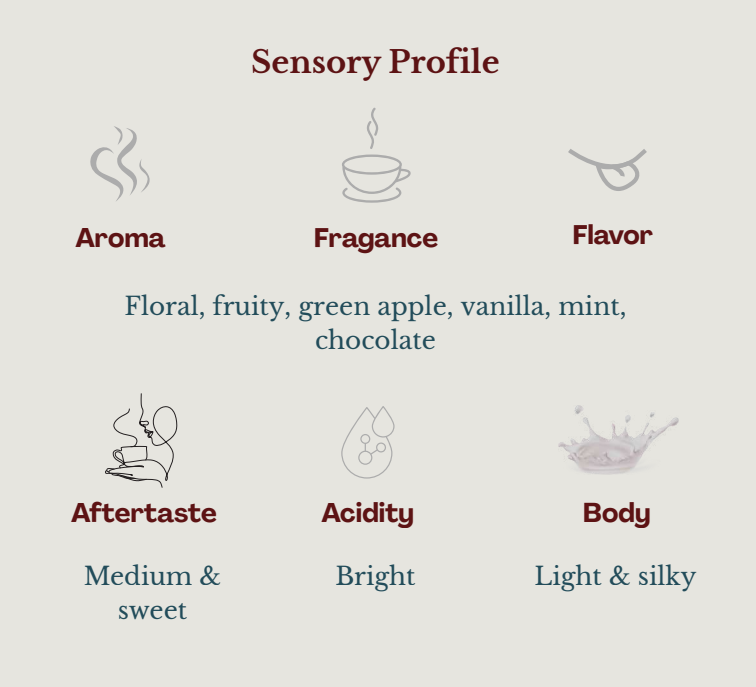Ecuador | Vinka Farm | Carlos & Maria Fernanda | 2025 Sidra Washed Wild Mosto