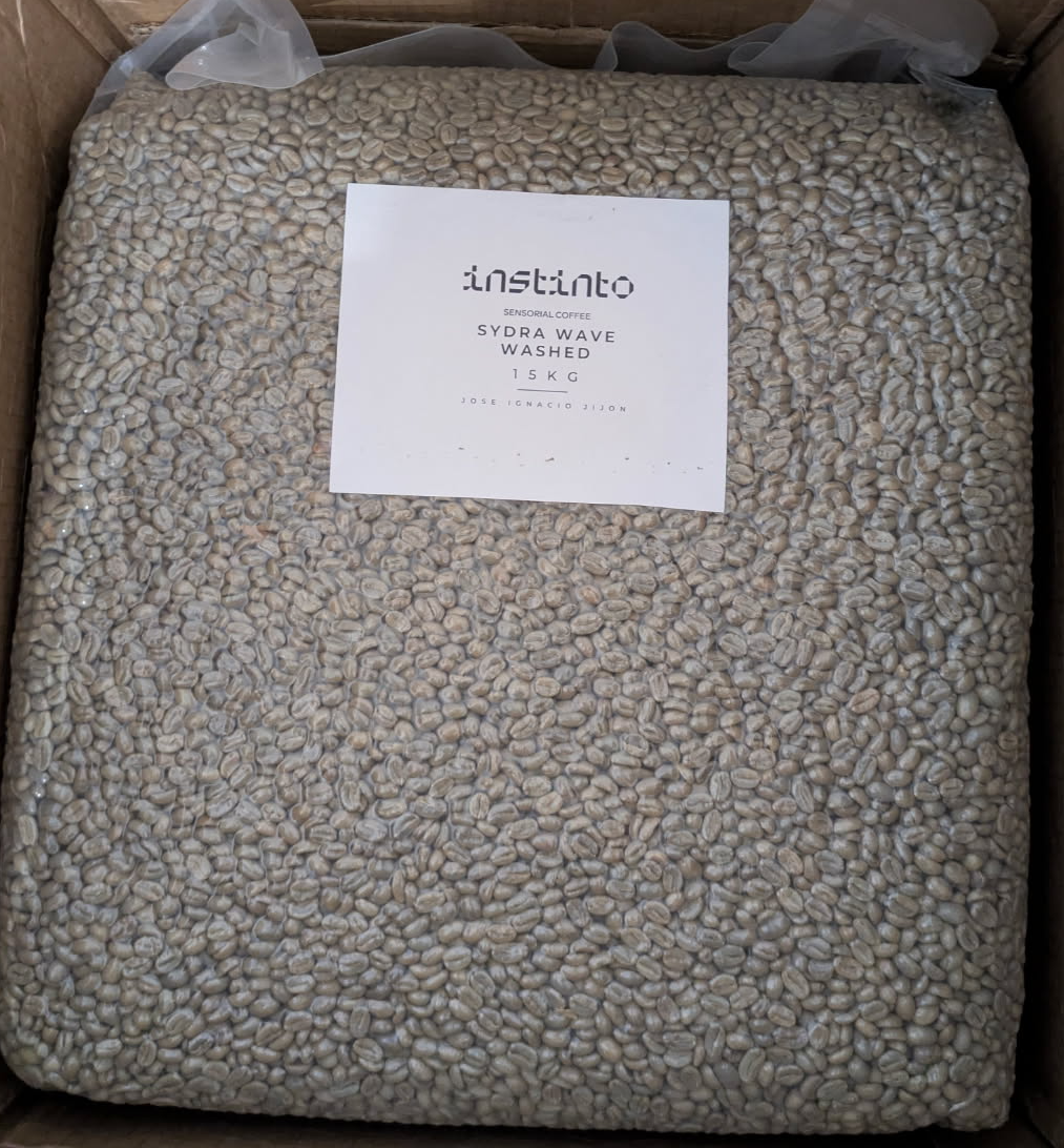 Ecuador | Soledad | Pepe Jijon | Sydra Wave Washed