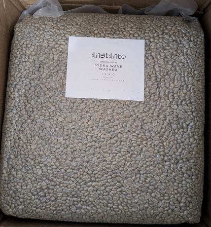 Ecuador | Soledad | Pepe Jijon | Sydra Wave Washed