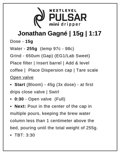 Pulsar Mini Brewer by Next Level Brewer (w/ 100 filters)